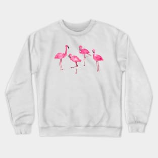 pink flamingos Crewneck Sweatshirt